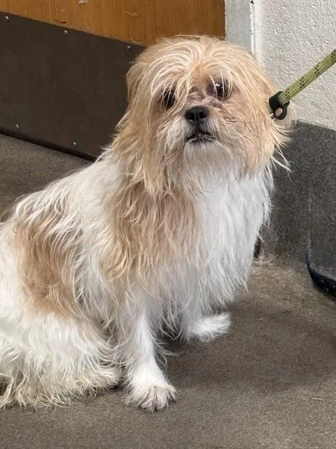 Zoey