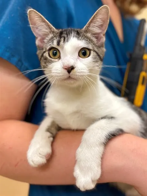 Winnie