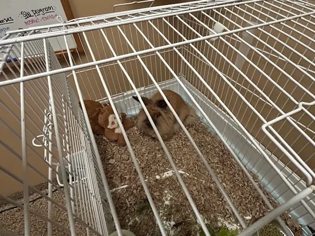 Fluffer Nutter