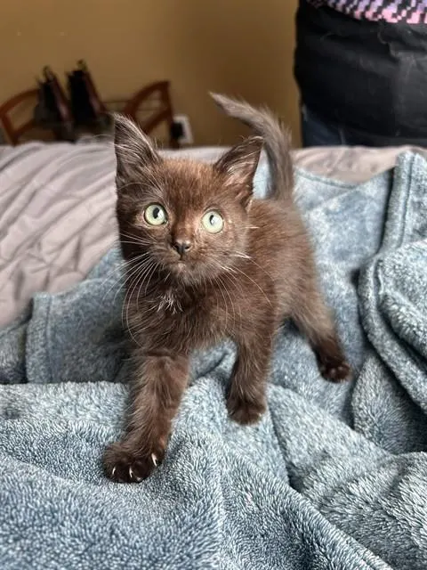 Zuko