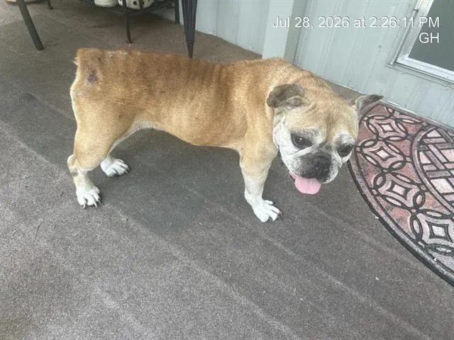 Rusty/Betty