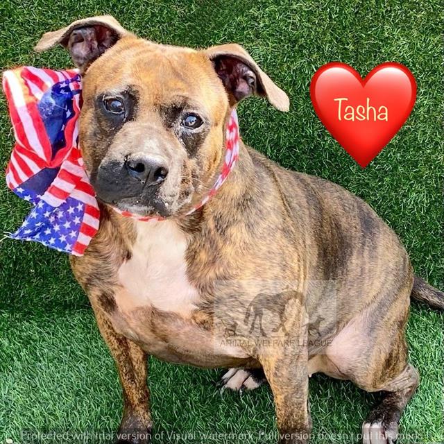 Tasha