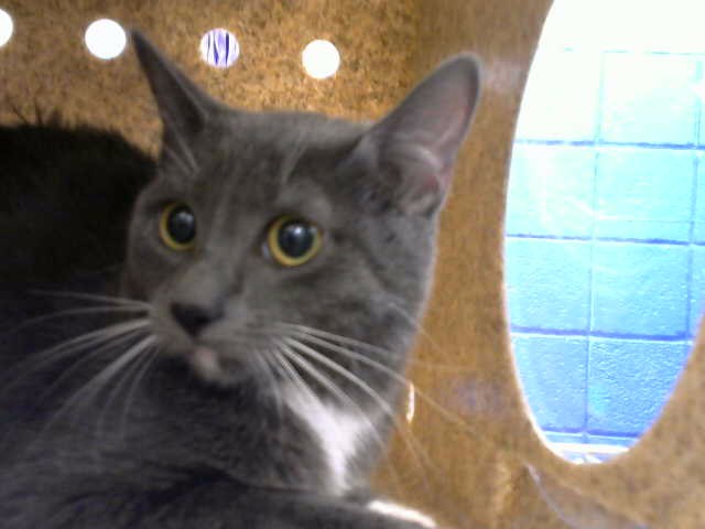 Missy