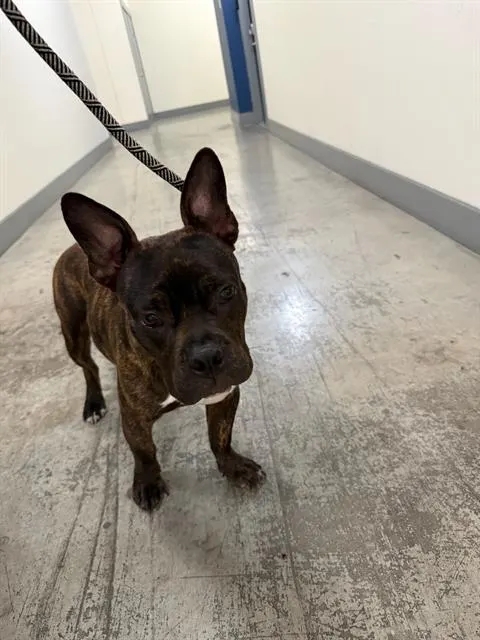 Max