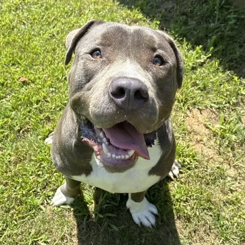 Diego