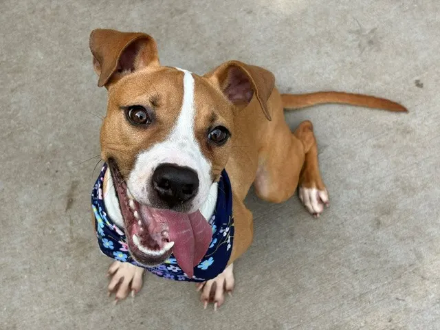 Max