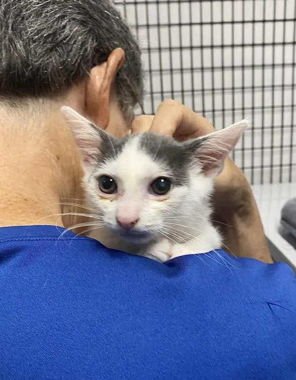 Kiki