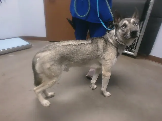 Max