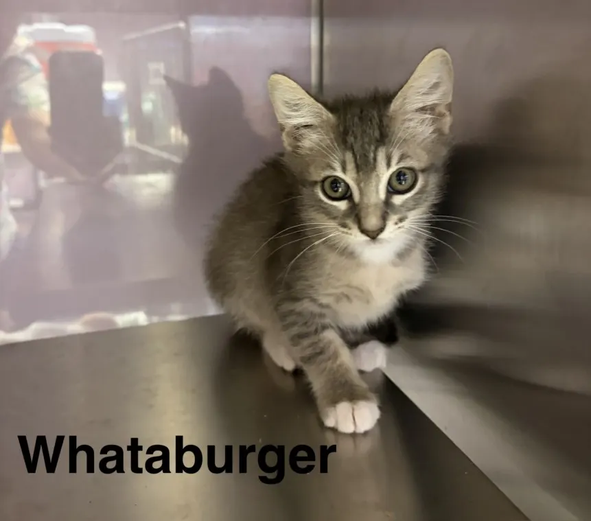 Whataburger