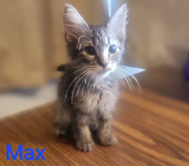 Max