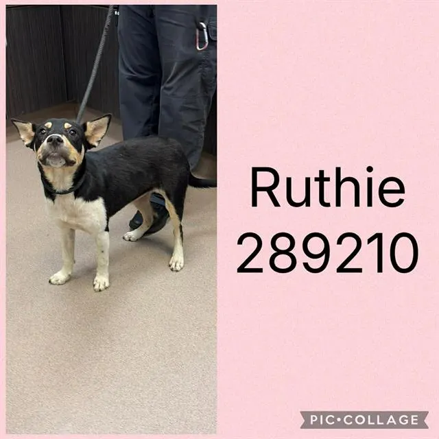 Ruthie
