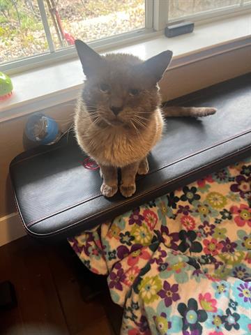 Oscar