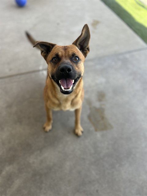 Ranger