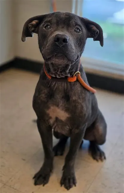 Benson