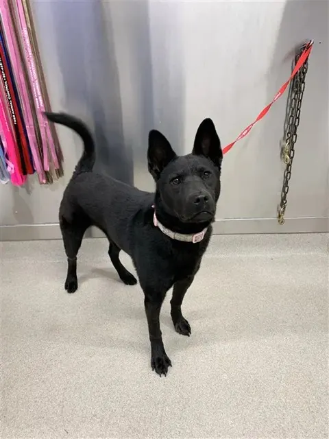 Coco