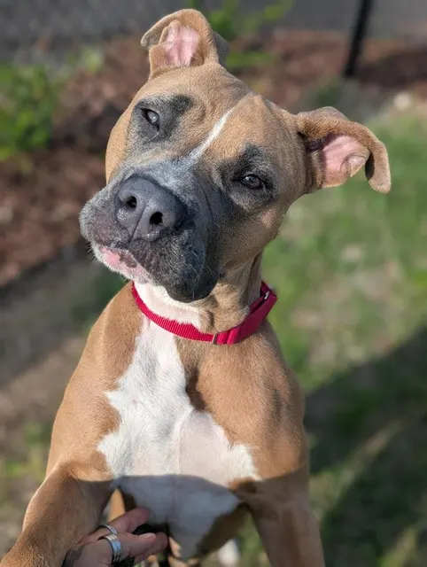 Fiona