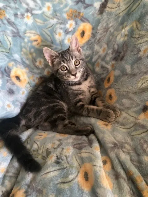 Bianca
