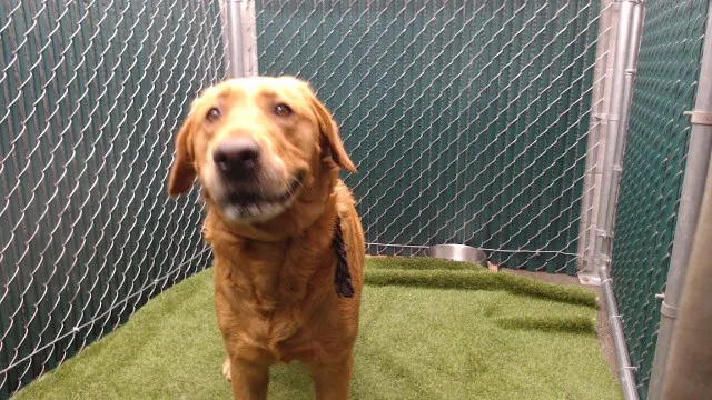 Duncan