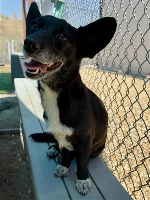 Juanita