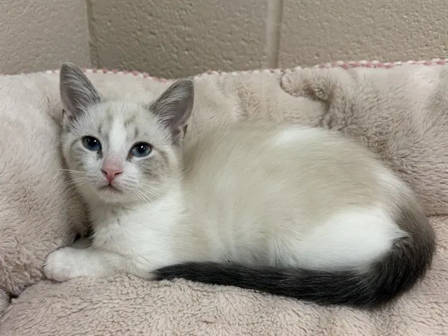 Fiona