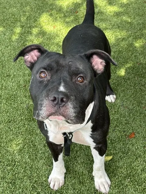 Zeus