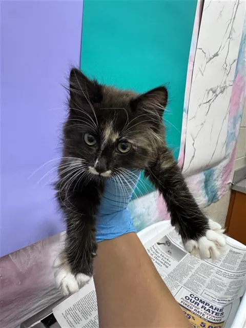 *Minnie