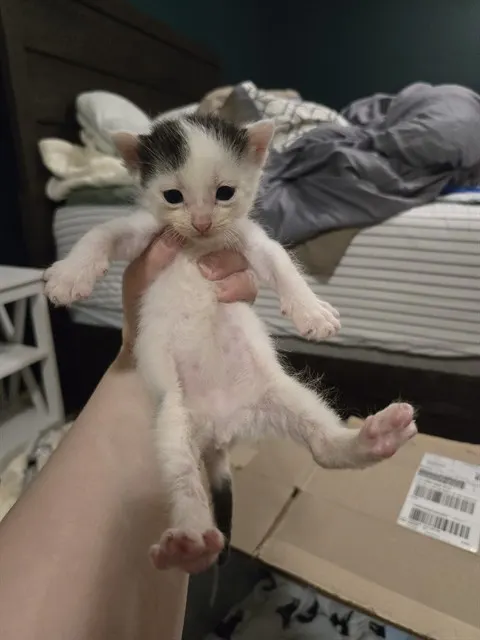 Fuzz Aldrin