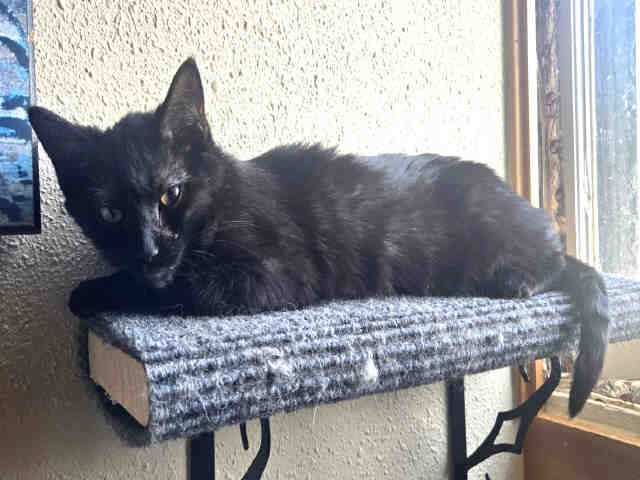 Edith-In Foster