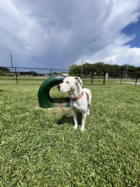 Max