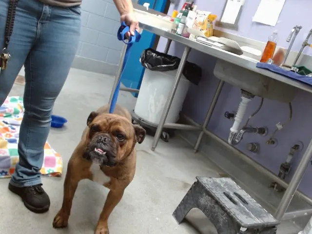 Doug