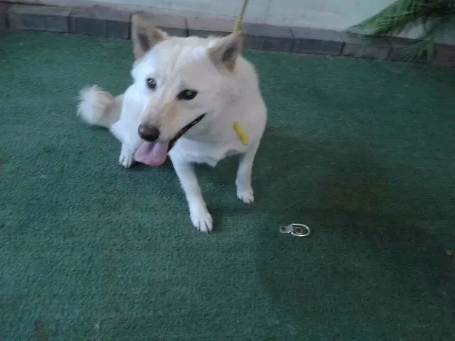 Qq