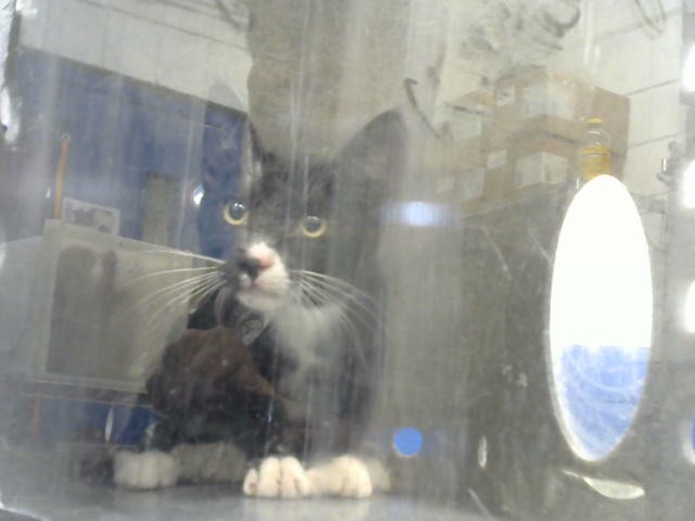 Jerry