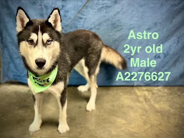 Astro
