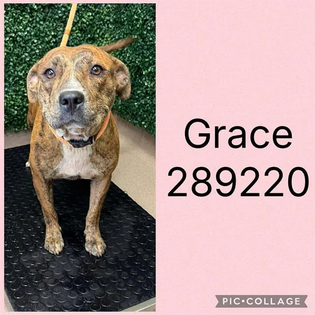 Grace