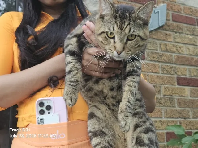 Prince