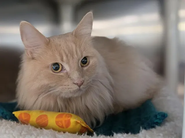 Milo