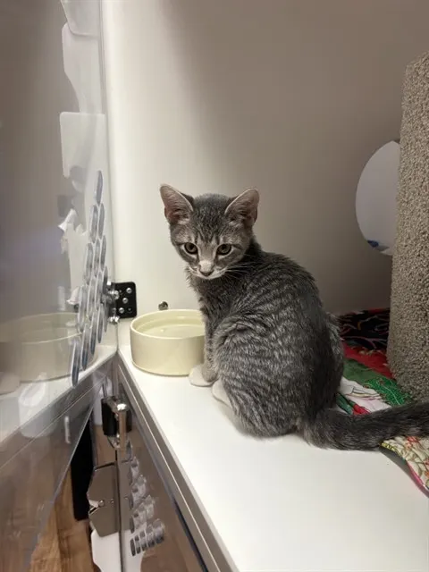 Max