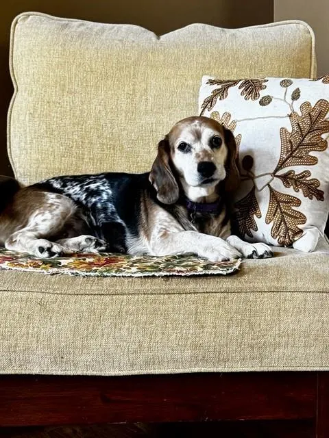 Harriet