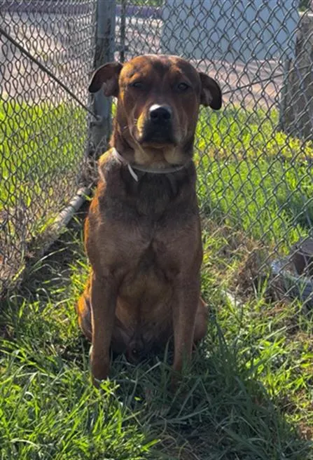 Milo