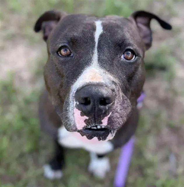 Roscoe