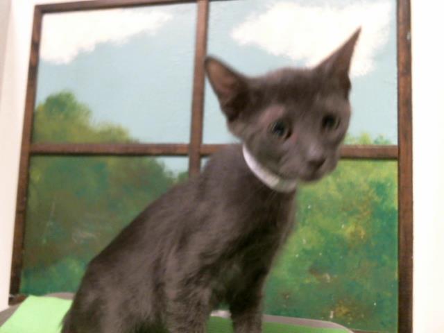 Del
