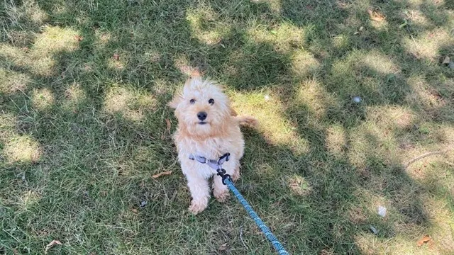 Arthur