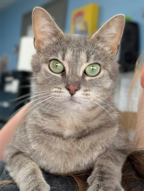 Jade
