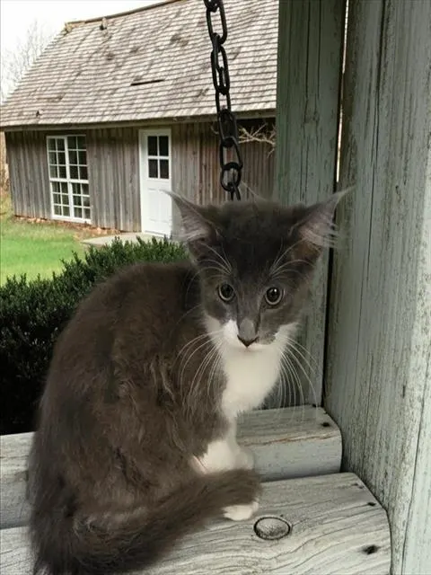 Marley
