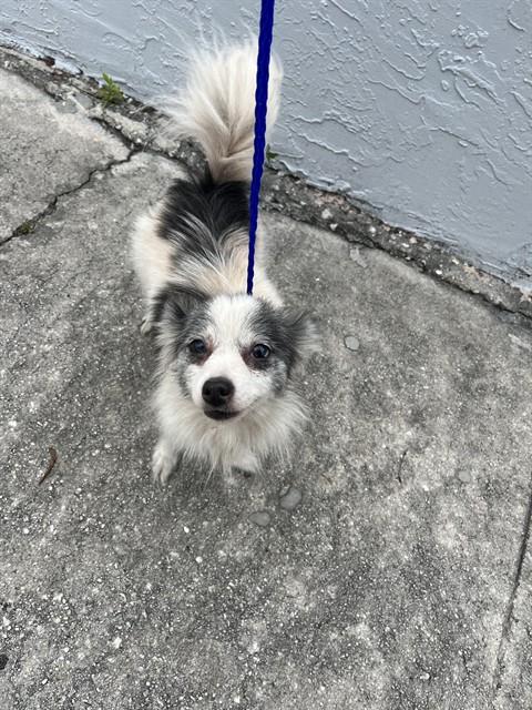 Tina