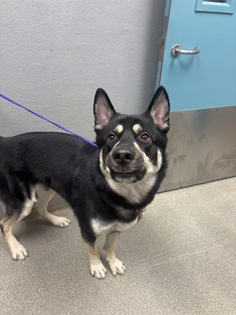 Max