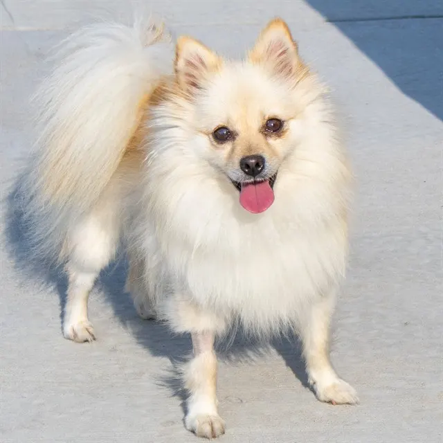 Khloe