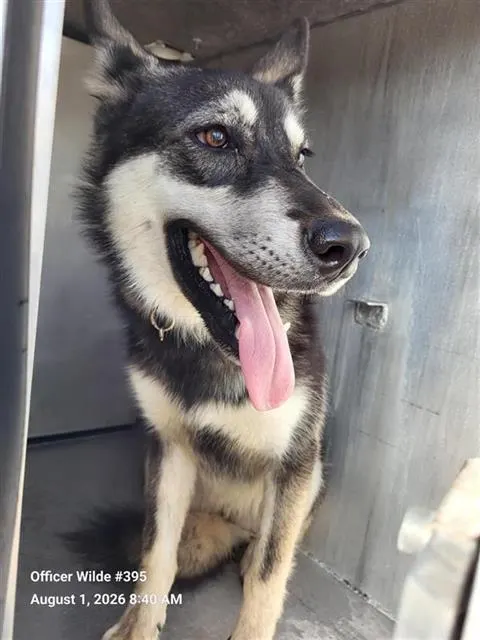Lucy