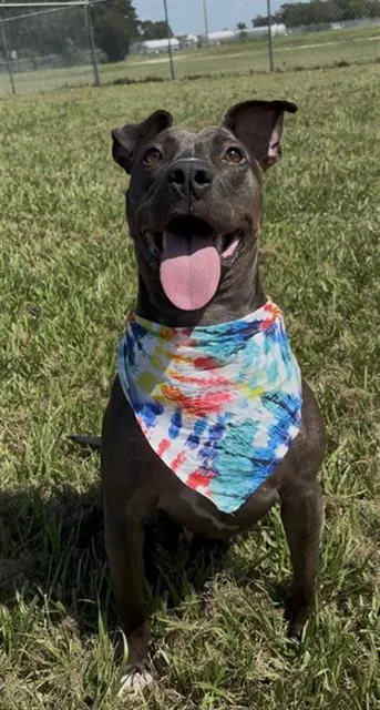Bonnie