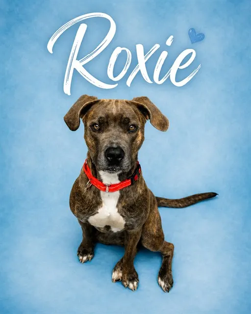 Roxie